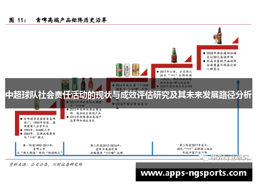 中超球队社会责任活动的现状与成效评估研究及其未来发展路径分析