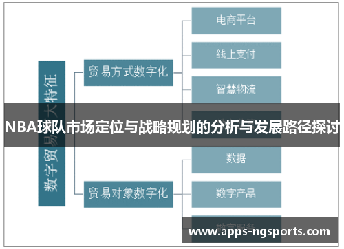 NBA球队市场定位与战略规划的分析与发展路径探讨