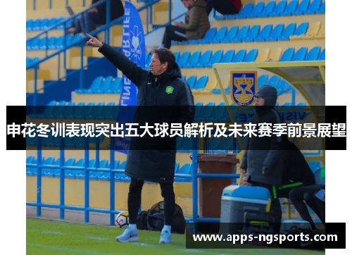申花冬训表现突出五大球员解析及未来赛季前景展望