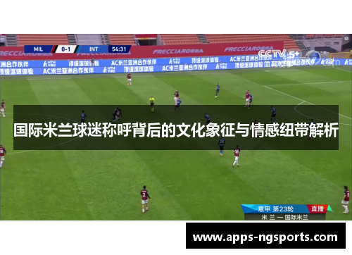国际米兰球迷称呼背后的文化象征与情感纽带解析
