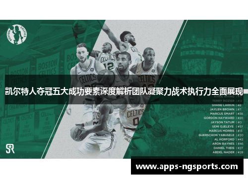 凯尔特人夺冠五大成功要素深度解析团队凝聚力战术执行力全面展现
